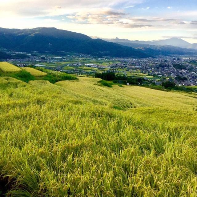 Obasute Guesthouse Nakaraya Chikuma Bagian luar foto